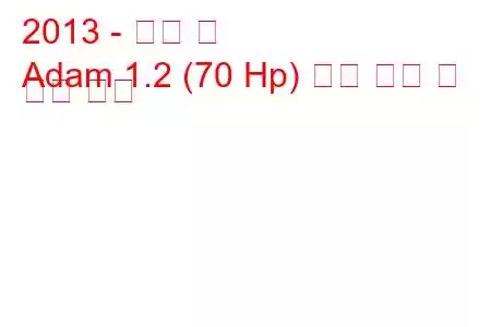 2013 - 오펠 맨
Adam 1.2 (70 Hp) 연료 소비 및 기술 사양