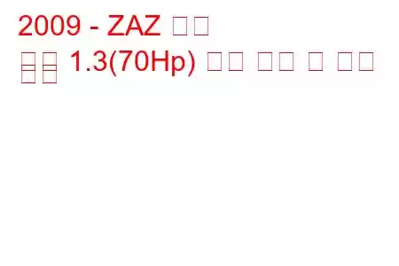 2009 - ZAZ 기회
기회 1.3(70Hp) 연료 소비 및 기술 사양