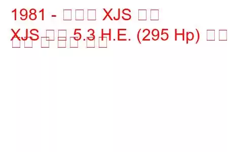 1981 - 재규어 XJS 쿠페
XJS 쿠페 5.3 H.E. (295 Hp) 연료 소비 및 기술 사양