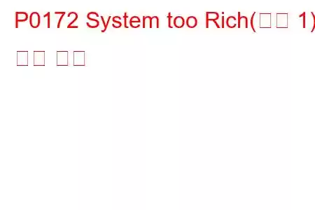 P0172 System too Rich(뱅크 1) 문제 코드