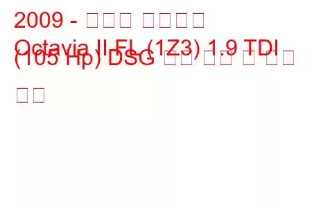 2009 - 스코다 옥타비아
Octavia II FL (1Z3) 1.9 TDI (105 Hp) DSG 연료 소비 및 기술 사양