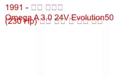 1991 - 오펠 오메가
Omega A 3.0 24V Evolution500 (230 Hp) 연료 소비 및 기술 사양