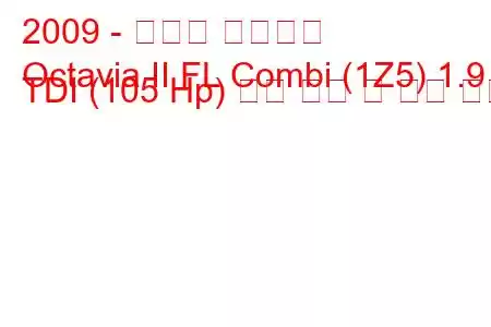 2009 - 스코다 옥타비아
Octavia II FL Combi (1Z5) 1.9 TDI (105 Hp) 연료 소비 및 기술 사양