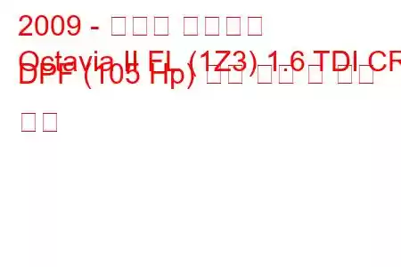 2009 - 스코다 옥타비아
Octavia II FL (1Z3) 1.6 TDI CR DPF (105 Hp) 연료 소비 및 기술 사양