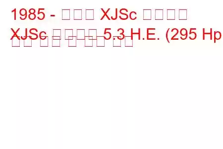 1985 - 재규어 XJSc 컨버터블
XJSc 컨버터블 5.3 H.E. (295 Hp) 연료 소비 및 기술 사양