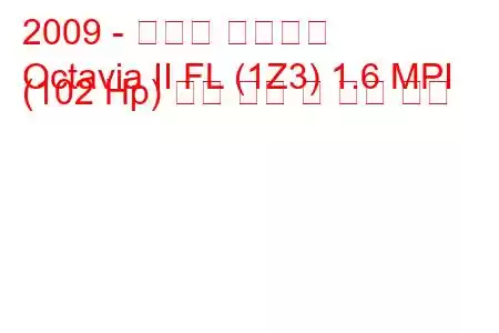 2009 - 스코다 옥타비아
Octavia II FL (1Z3) 1.6 MPI (102 Hp) 연료 소비 및 기술 사양