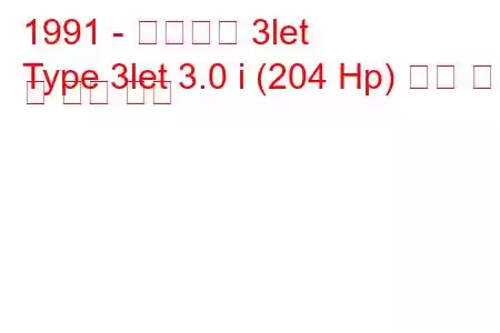 1991 - 비터타입 3let
Type 3let 3.0 i (204 Hp) 연료 소비 및 기술 사양