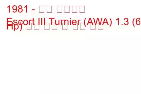 1981 - 포드 에스코트
Escort III Turnier (AWA) 1.3 (69 Hp) 연료 소비 및 기술 사양