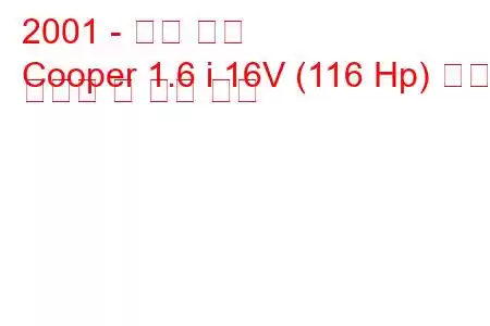 2001 - 미니 쿠퍼
Cooper 1.6 i 16V (116 Hp) 연료 소비량 및 기술 사양