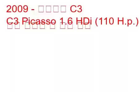 2009 - 시트로엥 C3
C3 Picasso 1.6 HDi (110 H.p.) 연료 소비량 및 기술 사양