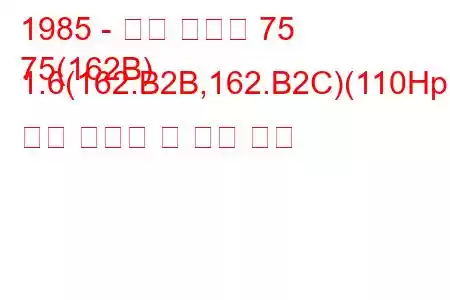 1985 - 알파 로미오 75
75(162B) 1.6(162.B2B,162.B2C)(110Hp) 연료 소비량 및 기술 사양