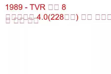 1989 - TVR 속도 8
스피드에잇 4.0(228마력) 연료 소비량 및 기술 사양