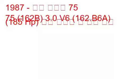 1987 - 알파 로미오 75
75 (162B) 3.0 V6 (162.B6A) (185 Hp) 연료 소비량 및 기술 사양