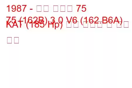 1987 - 알파 로미오 75
75 (162B) 3.0 V6 (162.B6A) KAT (185 Hp) 연료 소비량 및 기술 사양