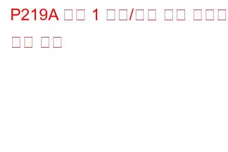 P219A 뱅크 1 공기/연료 비율 불균형 문제 코드