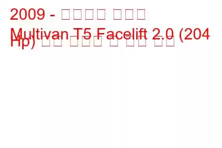 2009 - 폭스바겐 멀티밴
Multivan T5 Facelift 2.0 (204 Hp) 연료 소비량 및 기술 사양