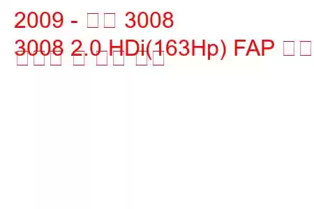 2009 - 푸조 3008
3008 2.0 HDi(163Hp) FAP 연료 소비량 및 기술 사양