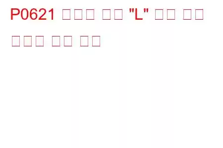P0621 발전기 램프 