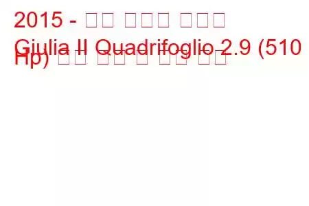 2015 - 알파 로메오 줄리아
Giulia II Quadrifoglio 2.9 (510 Hp) 연료 소비 및 기술 사양