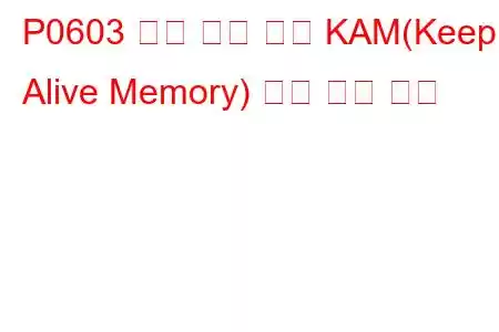 P0603 내부 제어 모듈 KAM(Keep Alive Memory) 오류 문제 코드